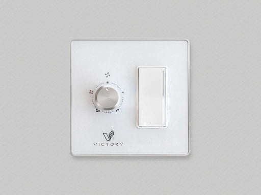 Double Wall Switch with Dimmer Switch for Victory Range Hoods