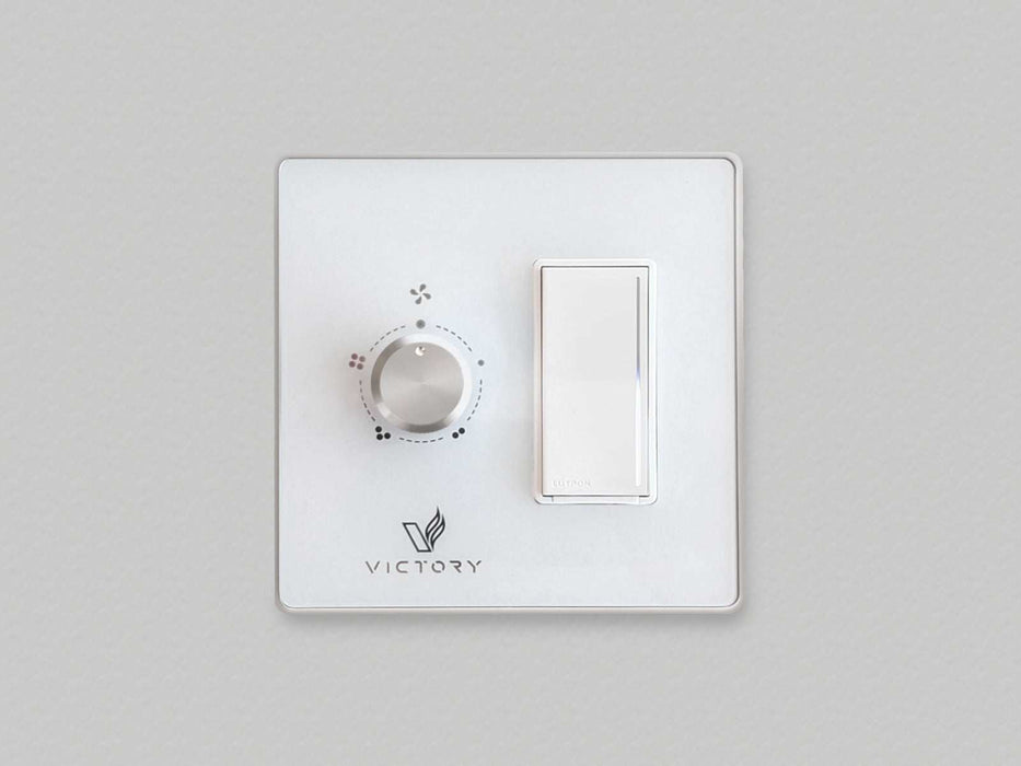 Double Wall Switch with Dimmer Switch for Victory Range Hoods