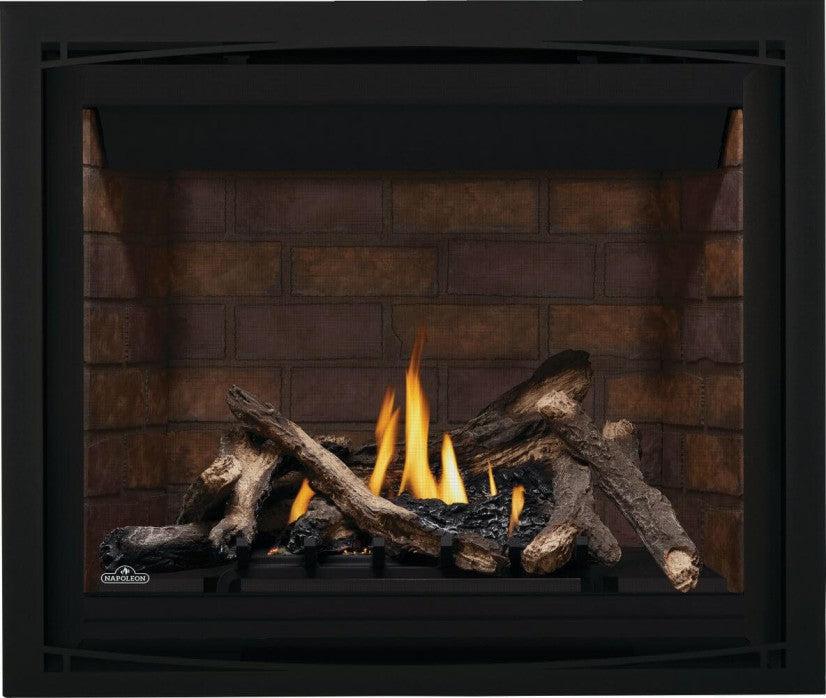Napoleon Altitude 42" Electronic Ignition, Propane Gas Direct Vent Fireplace