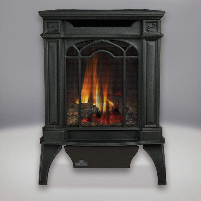 Napoleon Arlington 19" Metallic Black Direct Vent Cast Iron Gas Stove With Millivolt Ignition