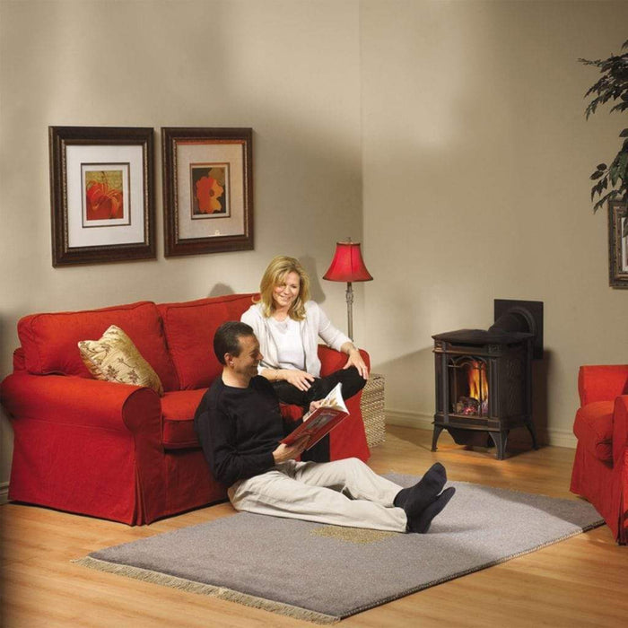 Napoleon Arlington 19" Metallic Black Direct Vent Cast Iron Gas Stove With Millivolt Ignition