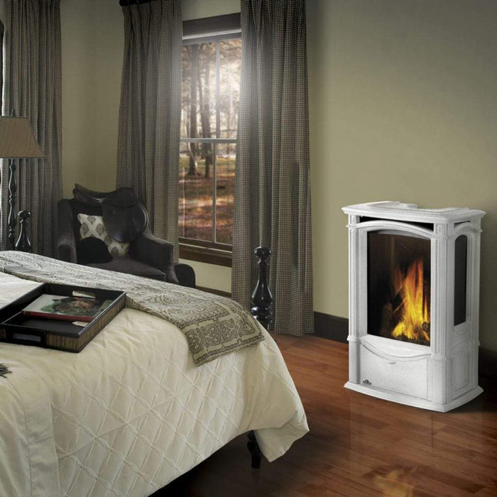 Napoleon Castlemore 24" Porcelain Majolica Brown Direct Vent Cast Iron Gas Stove