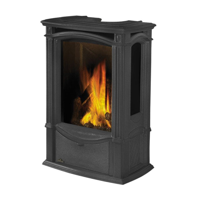 Napoleon Castlemore 24" Winter Frost Direct Vent Cast Iron Gas Stove - Detail View