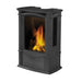Napoleon Castlemore 24" Winter Frost Direct Vent Cast Iron Gas Stove - Detail View