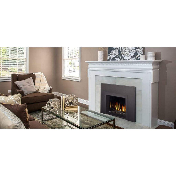 Napoleon 29" Oakville 3 Glass Direct Vent Gas Fireplace Insert