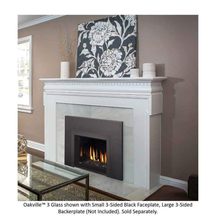 Napoleon 29" Oakville 3 Glass Direct Vent Gas Fireplace Insert