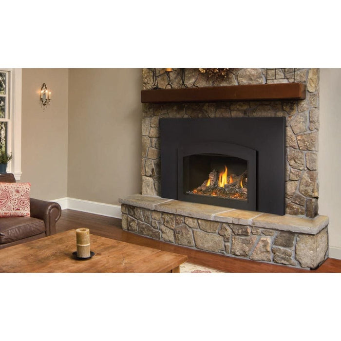 Napoleon 29" Oakville X3 Direct Vent Gas Fireplace Insert