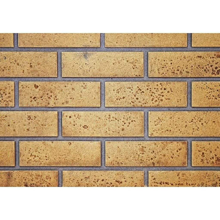 Napoleon Decorative Panels for Roxbury / Inspiration Fireplace Inserts
