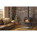 Napoleon Timberwolf Economizer 2100 Small Wood Burning Stove Gas Fireplace - Detail View