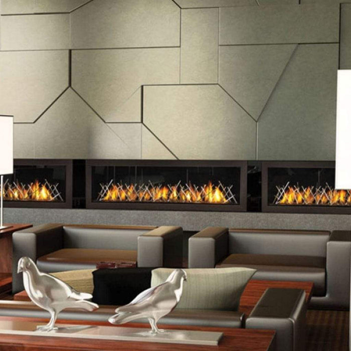 Napoleon Vector 62" See Through Direct Vent Natural Gas Linear Fireplace