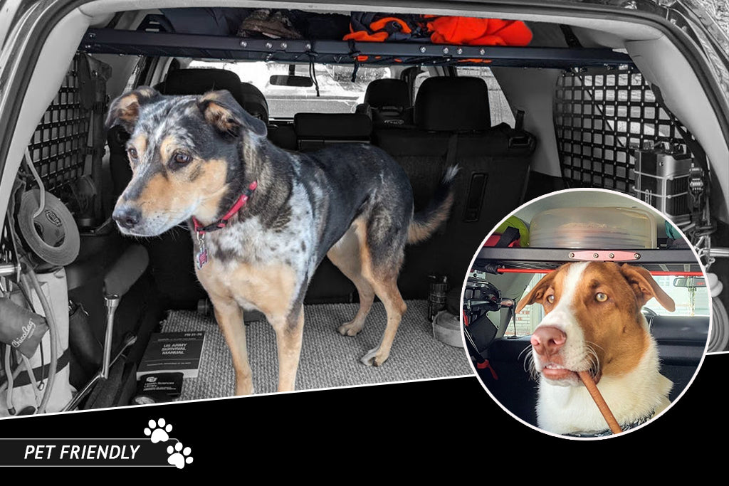 Rago Fabrication 2010-2024 5th Gen Toyota 4Runner Molle Storage Panel Shelf – image 5 of 12