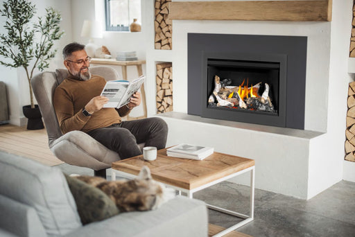 Napoleon Rosedale 2 gas fireplace insert with birch logs