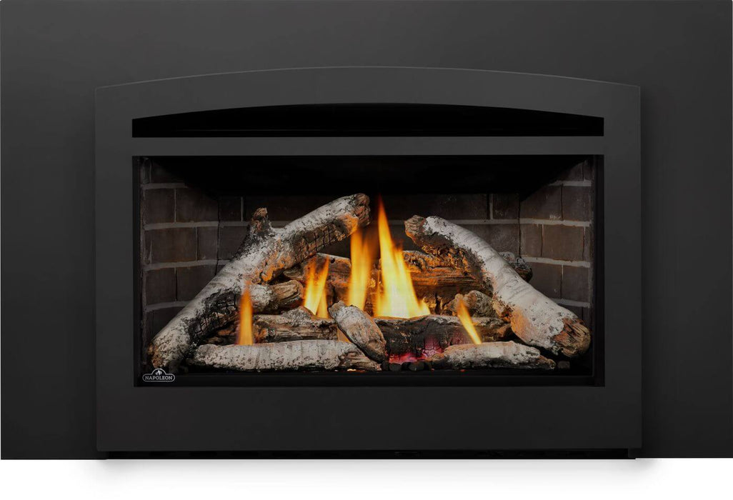 Napoleon Rosedale 3 gas fireplace insert with birch logs and 3-sided backerplate