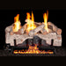 RH Peterson Real Fyre Charred Alpine Birch Vent Free Gas Log Set