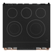 Thor Kitchen Gordon Ramsay Series 30-Inch Professional Electric Range with Tilt Panel Touch Control in Black with Rose Gold Trim (RSE30B-RSG) Thor Kitchen