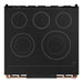Thor Kitchen Gordon Ramsay Series 30-Inch Professional Electric Range with Tilt Panel Touch Control in Black with Rose Gold Trim (RSE30B-RSG) Thor Kitchen