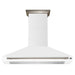 Forno Aria Wall Mounted Range Hood - view 2