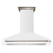 Forno Aria Wall Mounted Range Hood - view 1