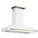 Forno Aria Wall Mounted Range Hood - view 4