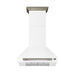 Forno Aria Wall Mounted Range Hood - view 1