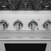 Thor Kitchen 30-Inch S Series Gas Range (SRG3001) – knob