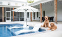 Ledge Lounger Signature Chaise — view 8