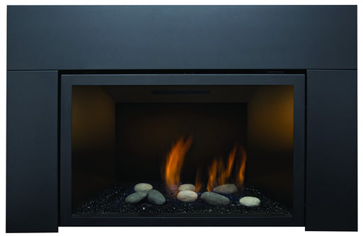 Sierra Flame Abbot safety screen shown installed on the Abbot 30 insert ABBOT-DVISC
