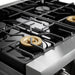 Thor Kitchen 30 In. 4.6 cu. ft. Self-Clean Propane Gas Range in Stainless Steel, TRG3001LP Thor Kitchen