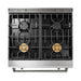 Thor Kitchen 30 In. 4.6 cu. ft. Self-Clean Propane Gas Range in Stainless Steel, TRG3001LP Thor Kitchen