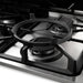 Thor Kitchen 30-Inch Professional Drop-In Gas Cooktop with Four Burners in Stainless Steel (TGC3001) Thor Kitchen