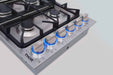 Thor Kitchen 36-Inch Professional Drop-In Gas Cooktop with Six Burners in Stainless Steel (TGC3601) Thor Kitchen
