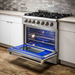 Thor Kitchen 36-Inch 5.2 cu. ft. Professional Gas Range in Stainless Steel (HRG3618U) Thor Kitchen