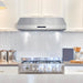 Cosmo 36-Inch 380 CFM Under Cabinet Range Hood in Stainless Steel (UMC36) Cosmo