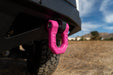 DV8 Offroad Elite Series 3/4" D-Ring Shackles Pair – installed on vehicle, image 8 of 20