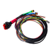 Wakespeed Positive P-Type Harness with CAN Bus Augmentation