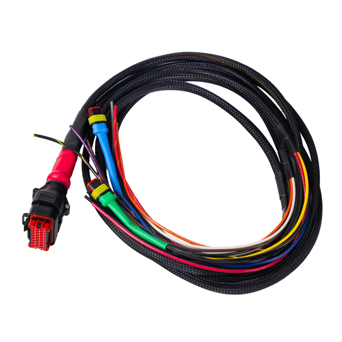 Wakespeed Standard Positive P-Type Harness (5ft)