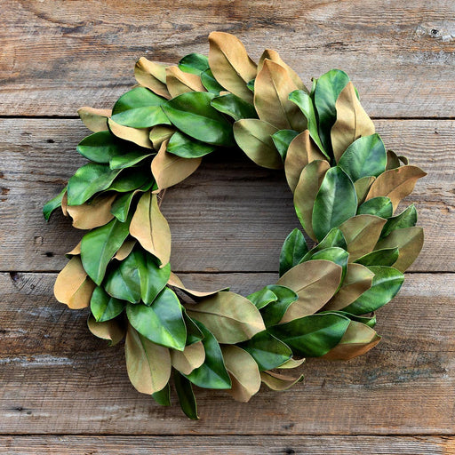 Park Hill Collection Connecticut Cheer Estate Magnolia Wreath XBW82233 Park Hill Collection