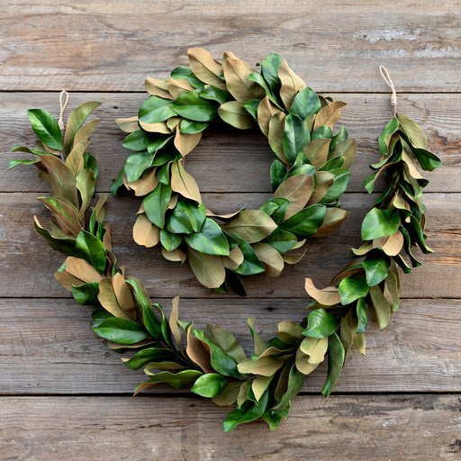 Park Hill Collection Connecticut Cheer Estate Magnolia Wreath XBW82233 Park Hill Collection