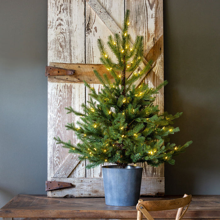 Park Hill Collection Tree Lot Potted Porch Fir Pine Tree, Lighted XPQ01057 Park Hill Collection