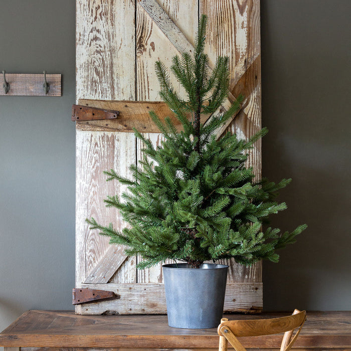 Park Hill Collection Tree Lot Potted Porch Fir Pine Tree, Lighted XPQ01057 Park Hill Collection