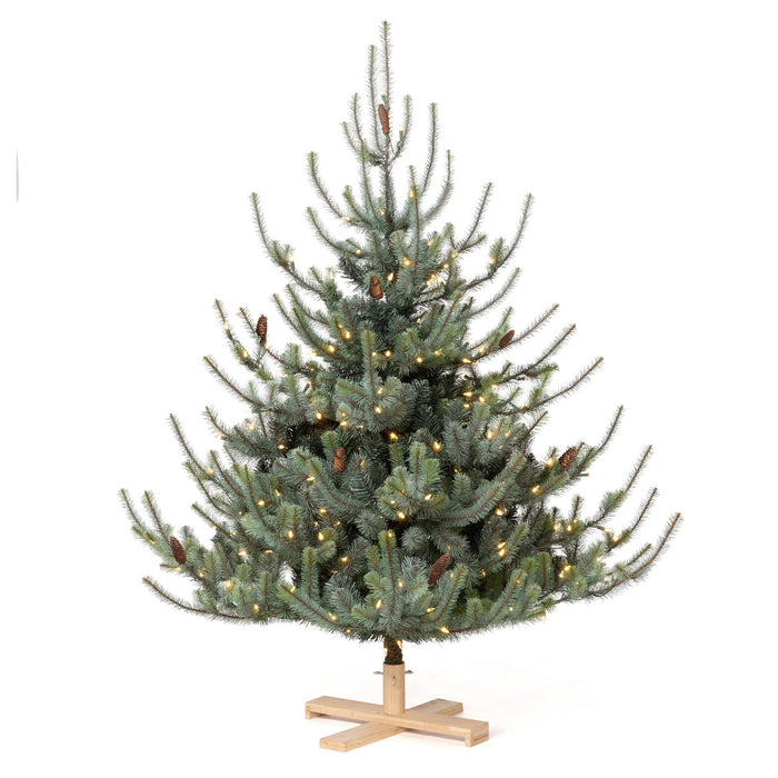 Park Hill Blue Spruce Christmas Tree, 5.5' Tree Lot XPQ20294 - angle view