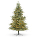 Park Hill Collection Montana Spruce Tree, Multi-Function with Soft Twinkle – 7.5 ft