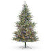Park Hill Collection Montana Spruce Tree, Multi-Function with Soft Twinkle – 7.5 ft (view 7)