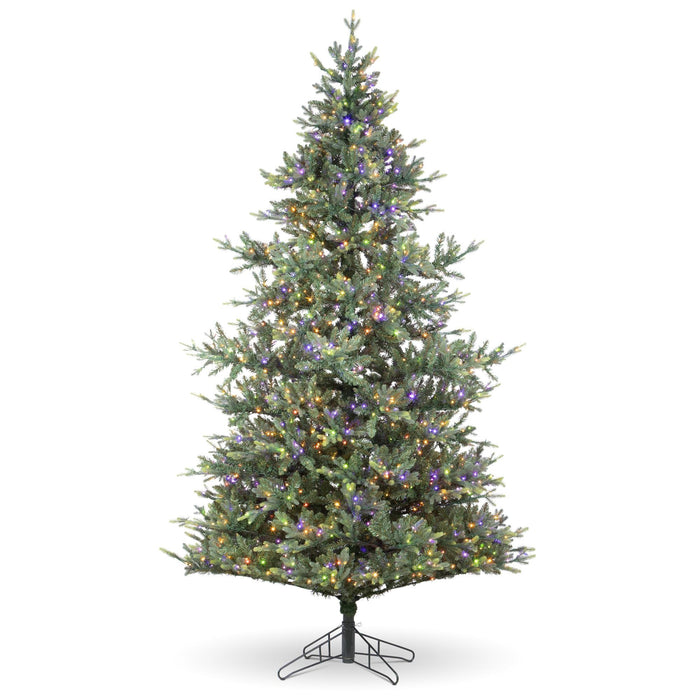 Park Hill Collection Montana Spruce Tree, Multi-Function with Soft Twinkle – 9 ft