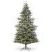 Park Hill Collection Montana Spruce Tree, Multi-Function with Soft Twinkle – 9 ft