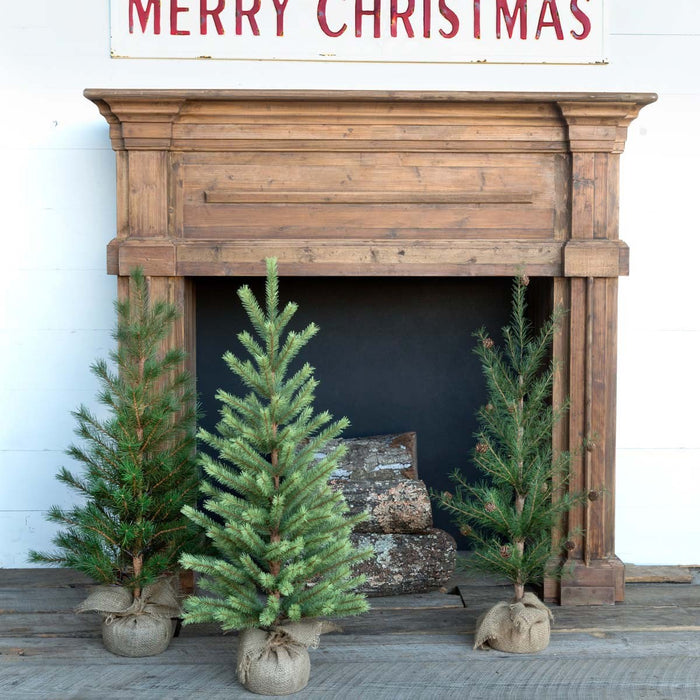 Park Hill Collection Tree Lot Second-Year Faux Seedling Pine Trees, Set of 3, Assorted Styles XPQ80211 Park Hill Collection