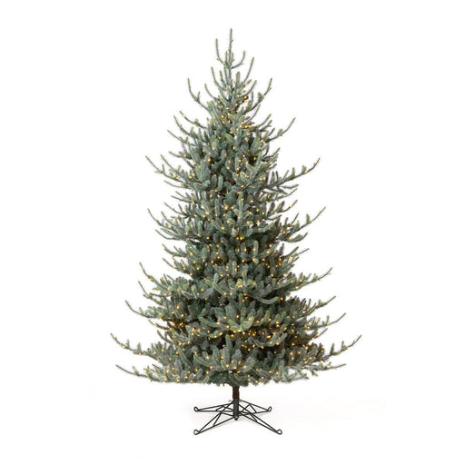 Park Hill Collection Tree Lot 10' Park Hill Blue Spruce LED Lights XPQ82162 Park Hill Collection