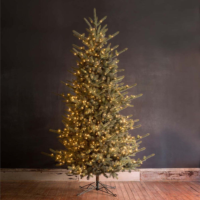 Park Hill Collection Tree Lot 10' Park Hill Blue Spruce LED Lights XPQ82162 Park Hill Collection