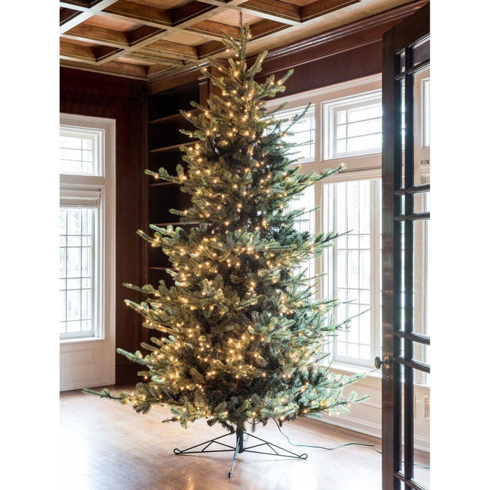 Park Hill Collection Tree Lot 10' Park Hill Blue Spruce LED Lights XPQ82162 Park Hill Collection