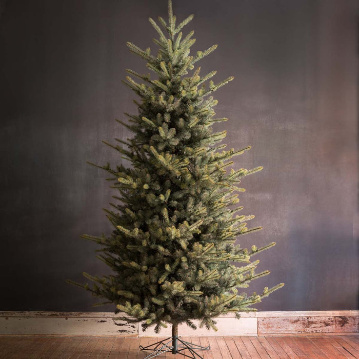 Park Hill Collection Tree Lot 10' Park Hill Blue Spruce LED Lights XPQ82162 Park Hill Collection